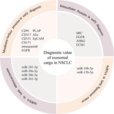 Role of exosomes in non-small cell lung cancer and EGFR-mutated lung cancer